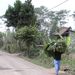 2005_indonesiatrip_288_2